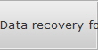Data recovery for Banks data